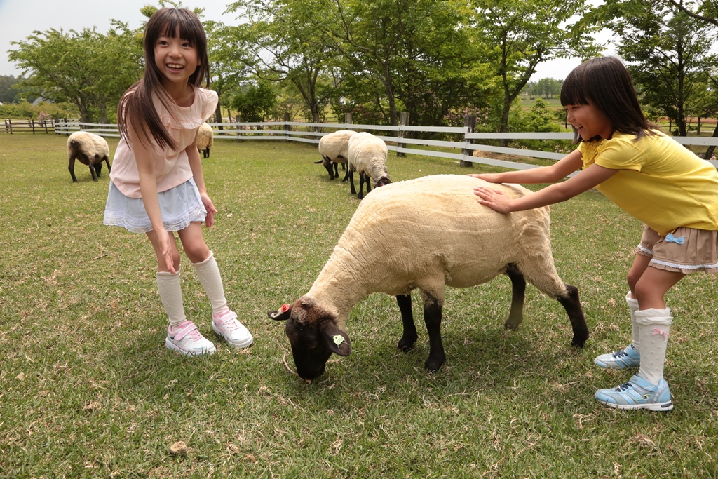 アイシンエーアアイダブリュ労働組合