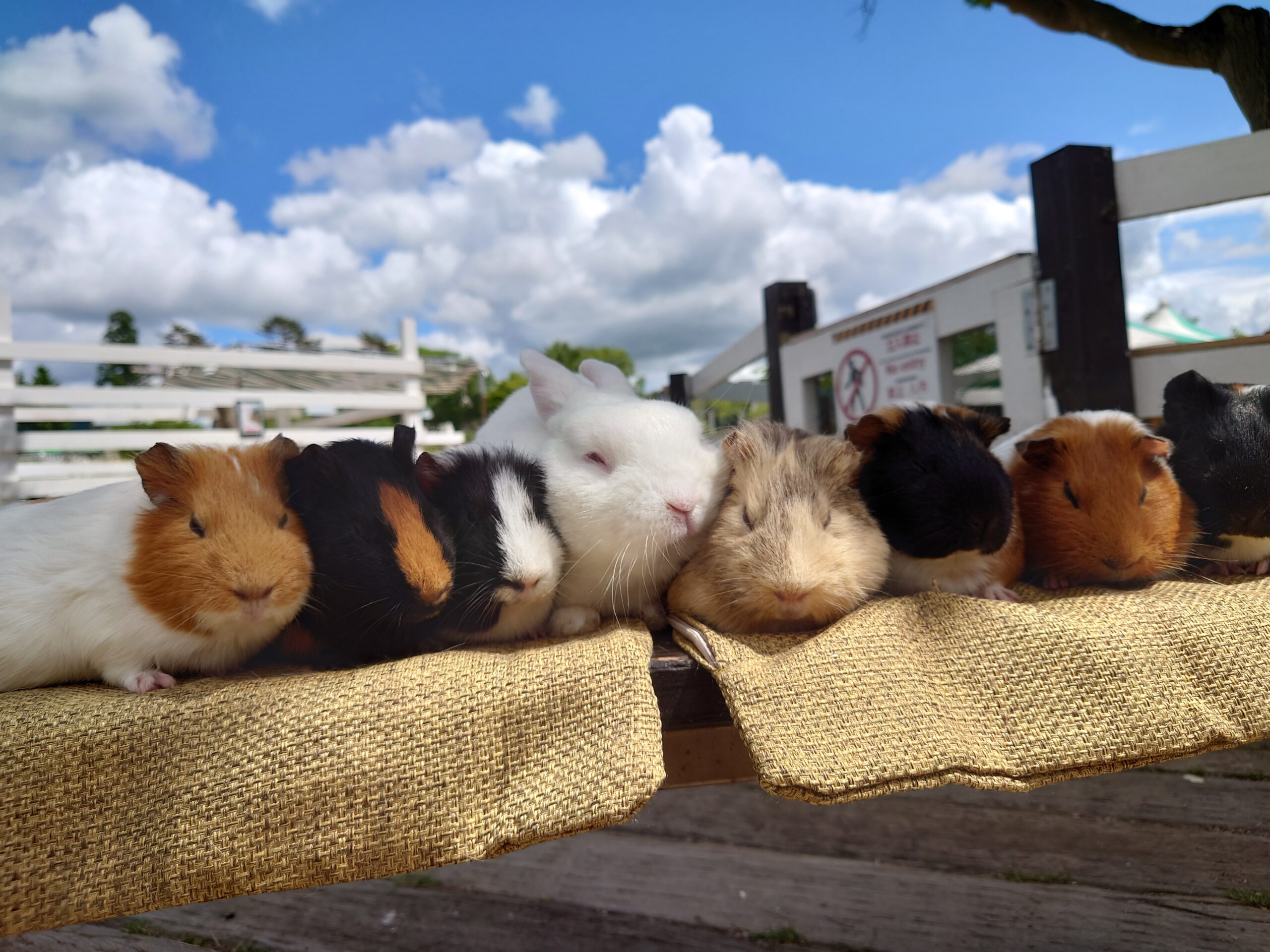 アイシンエーアアイダブリュ労働組合