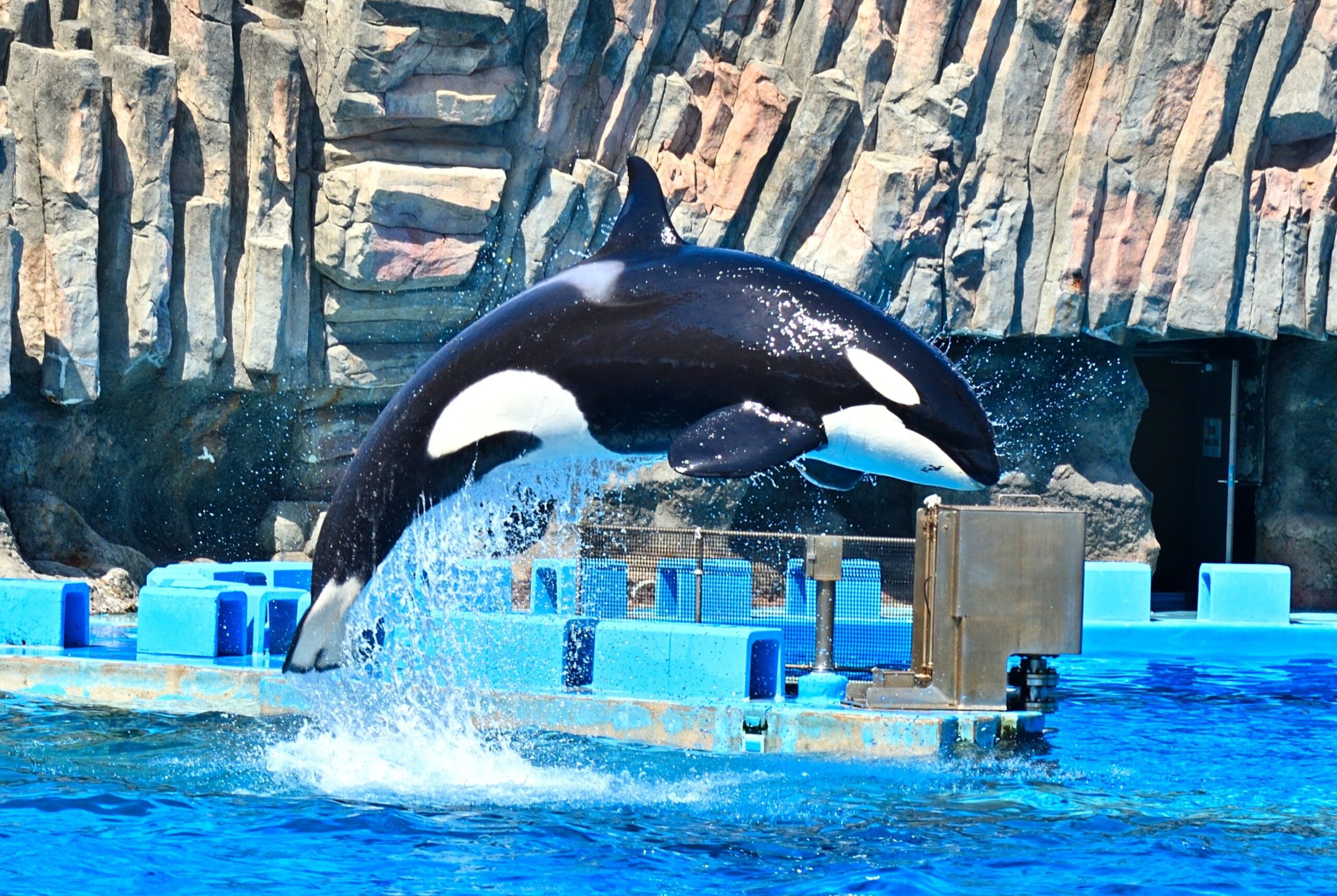 アイシンエーアアイダブリュ労働組合